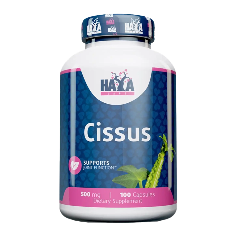 Cissus