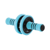 Active Workout Roller