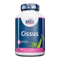 Cissus