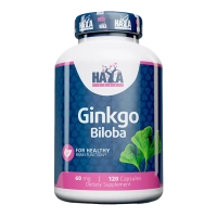 Ginkgo Biloba