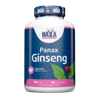 Panax Ginseng