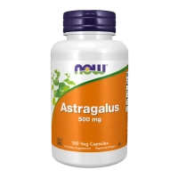 Astragalus 500mg