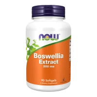 Boswellia Extract 500mg