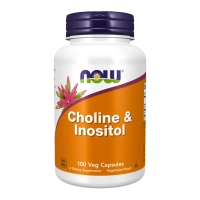 Choline en Inositol 500mg