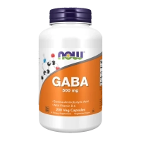 GABA 500mg