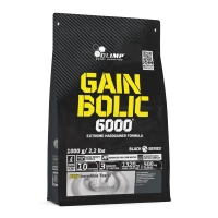 Gain Bolic 6000
