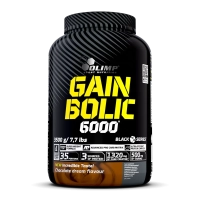 Gain Bolic 6000