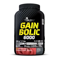 Gain Bolic 6000