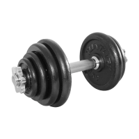 Dumbbell met 1 dumbbell stang