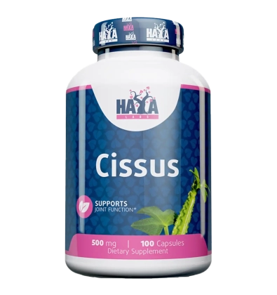 Cissus
