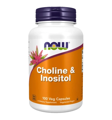 Choline en Inositol 500mg