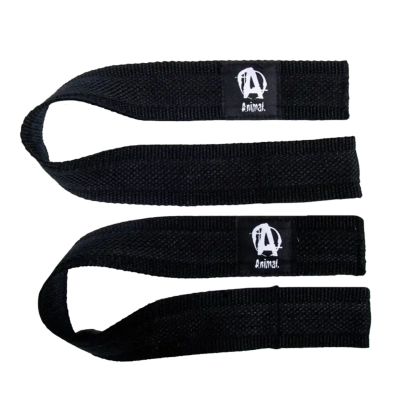 Animal Lifting Straps
