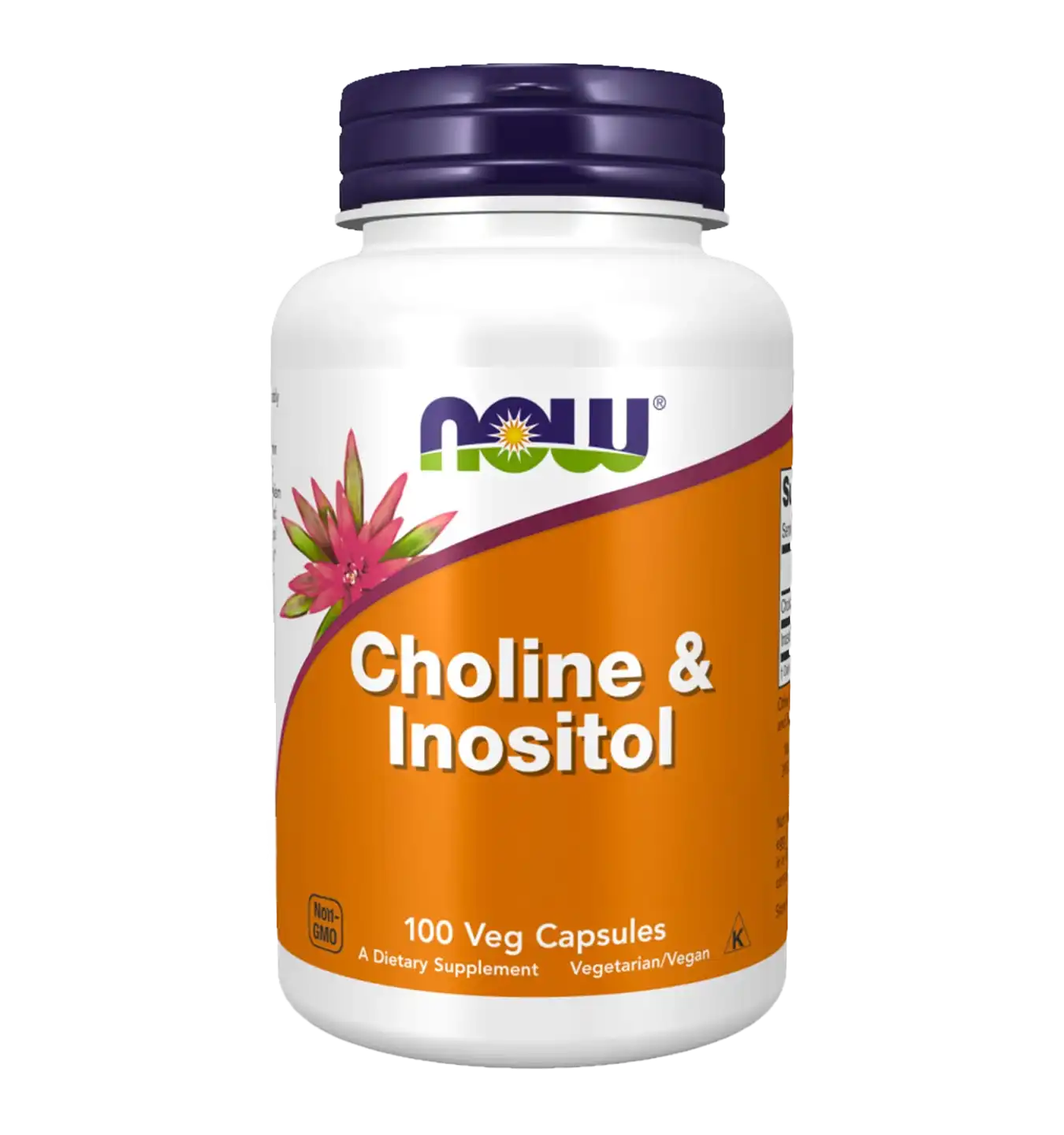Choline en Inositol 500mg - 100 v-caps