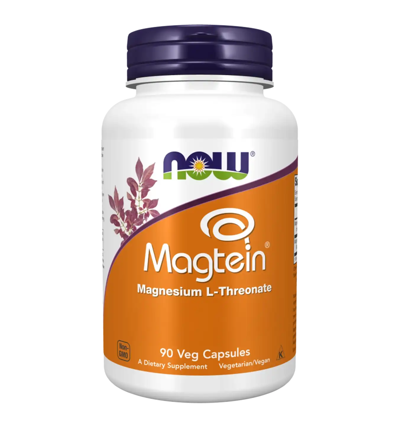 Magtein Magnesium L-Threonate - 90 v-caps