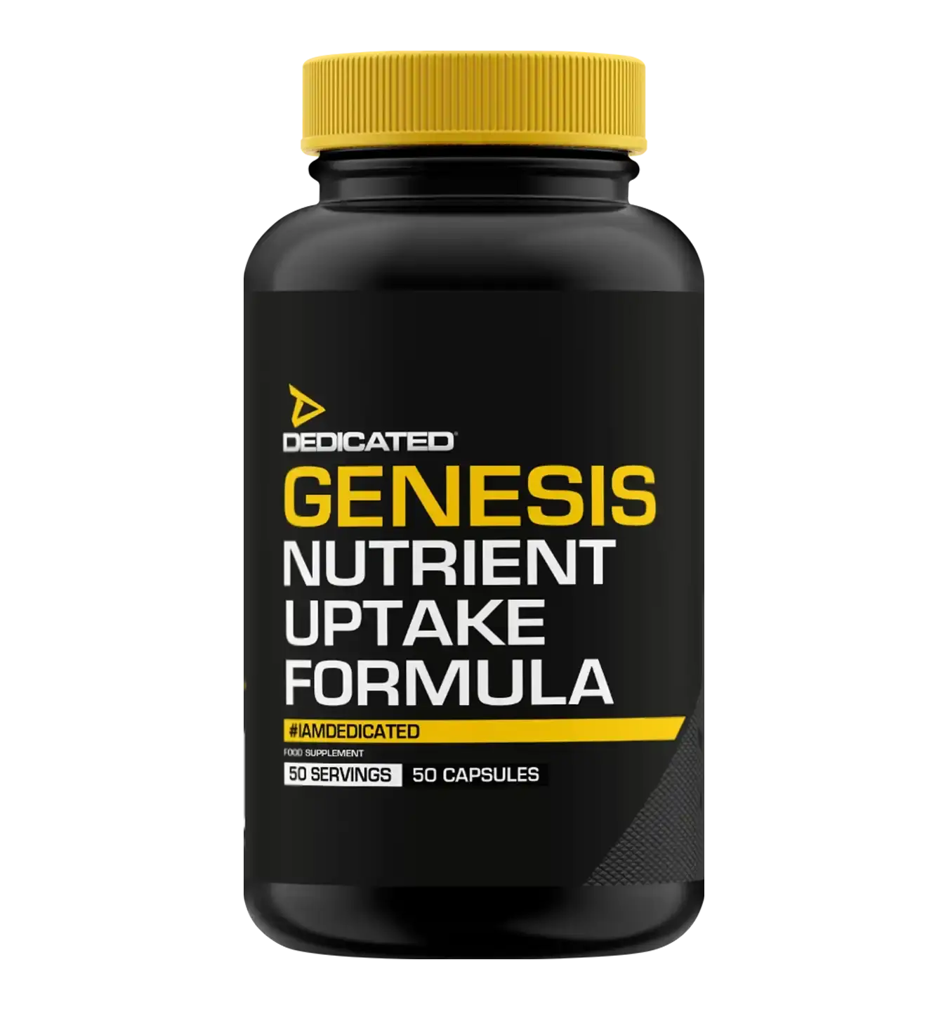 Genesis