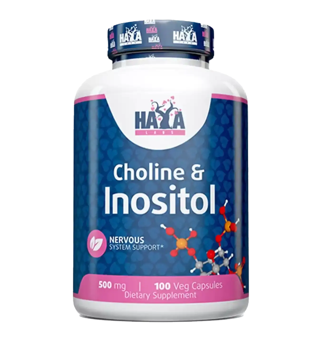Choline & Inositol