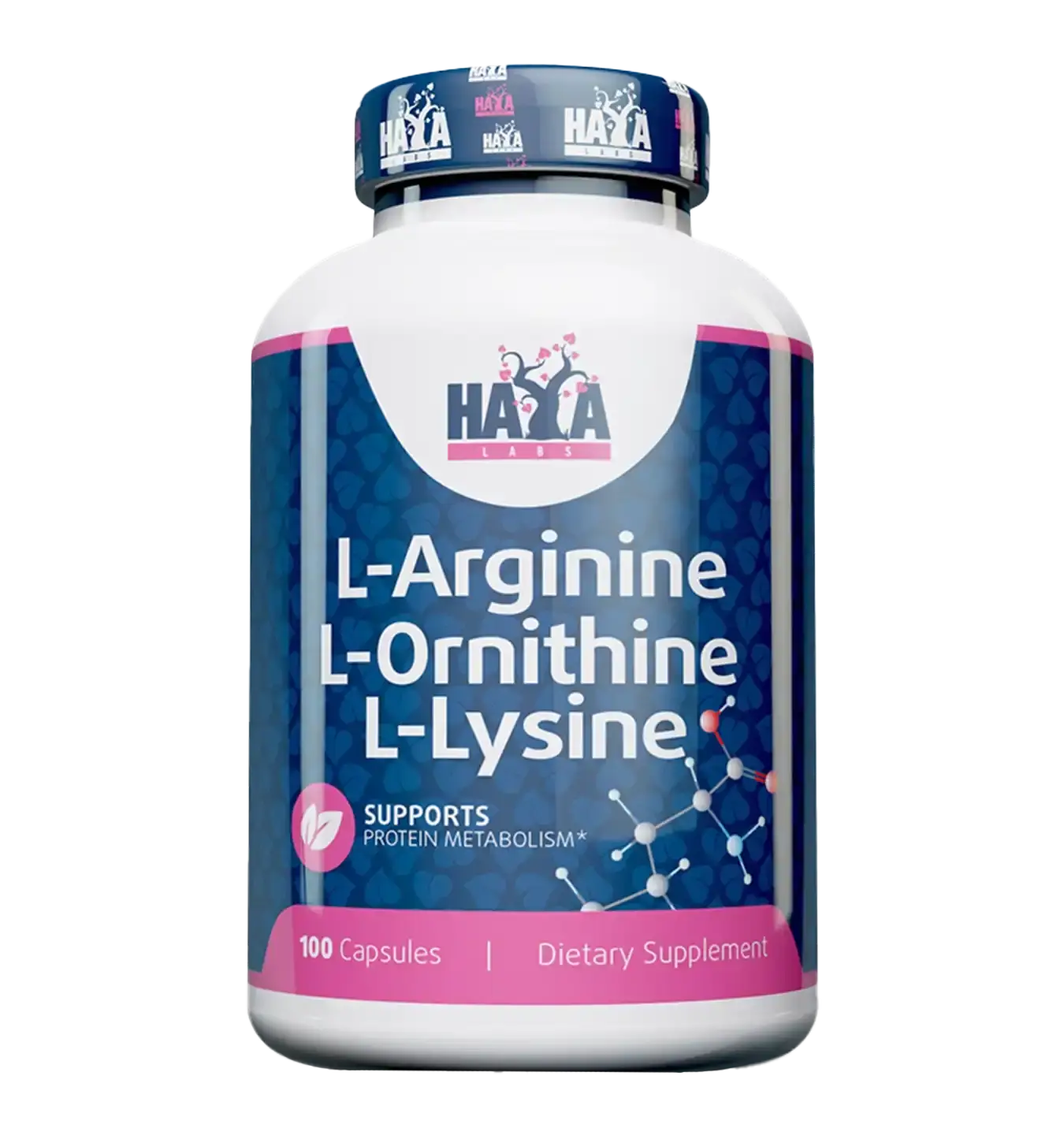 L-Arginine, L-Ornithin & L-Lysine