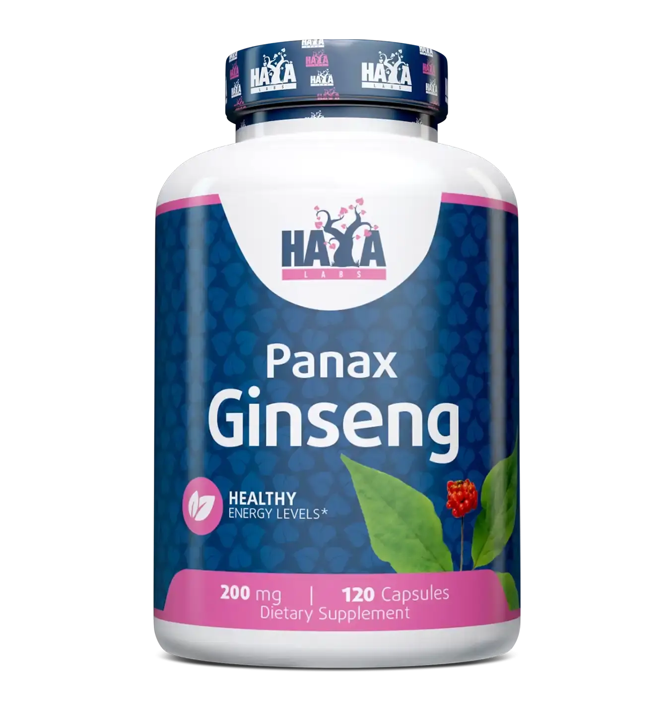 Panax Ginseng
