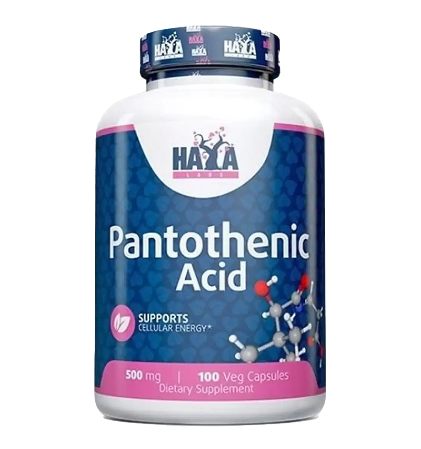 Pantothenic Acid
