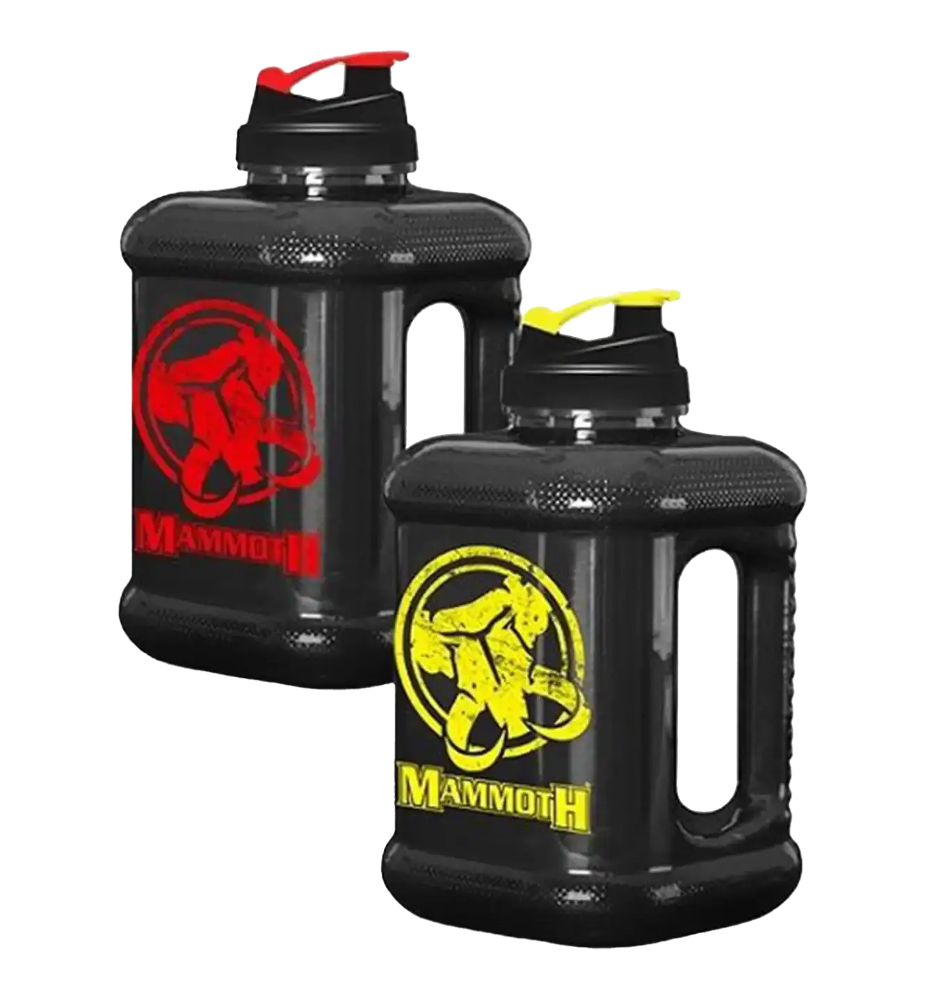 Mammoth Jug
