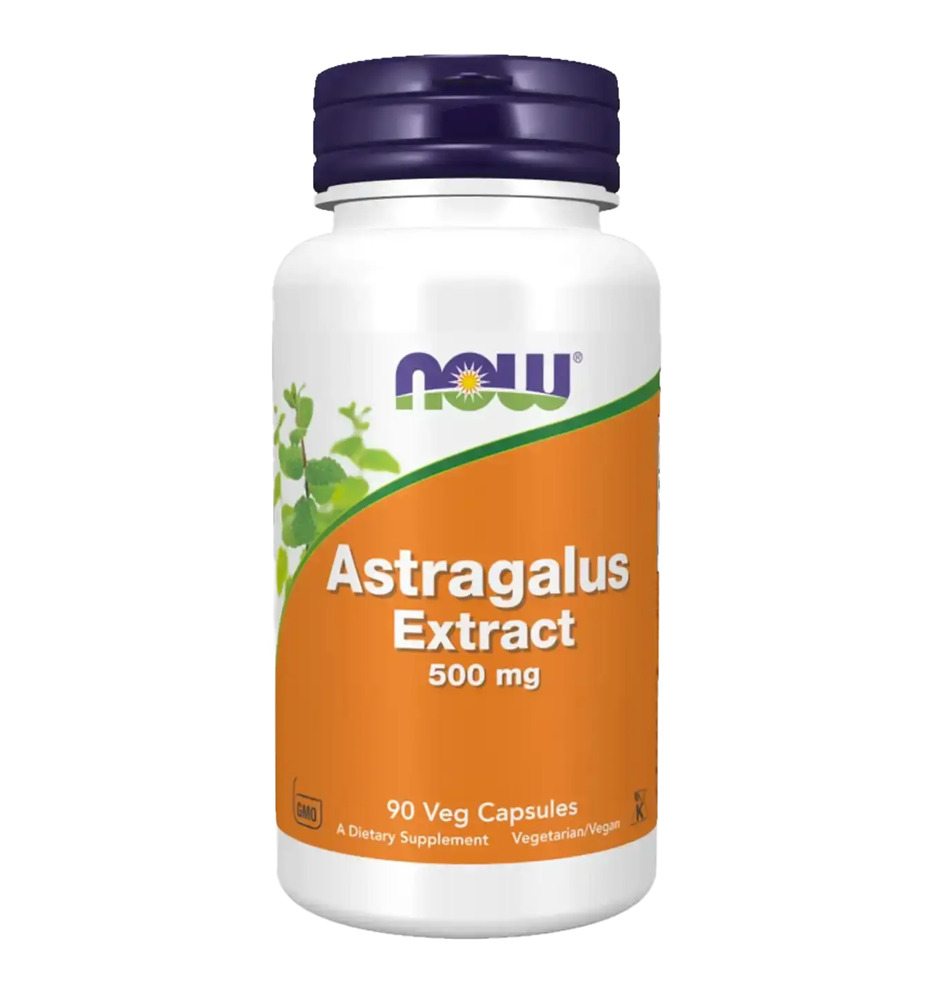 Astragalus Extract 500mg