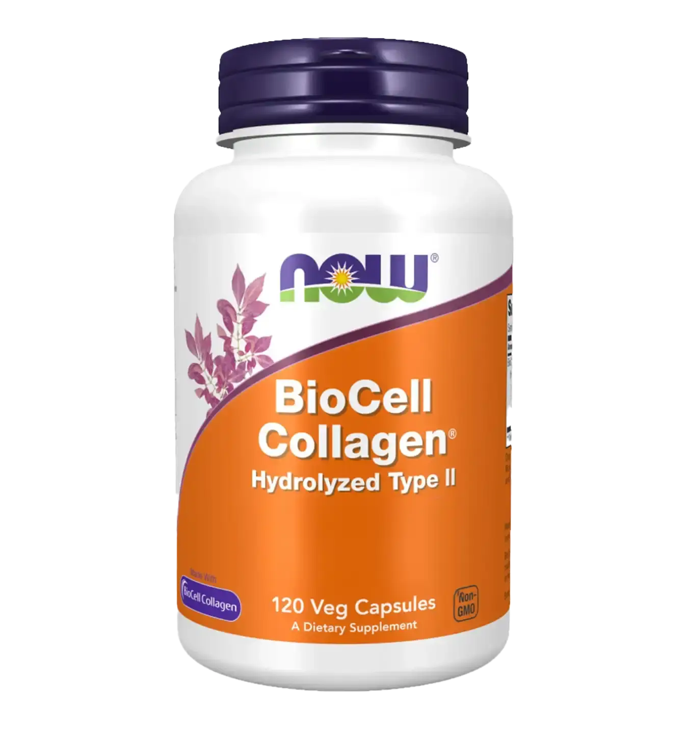 BioCell Collagen Hydrolyzed Type II