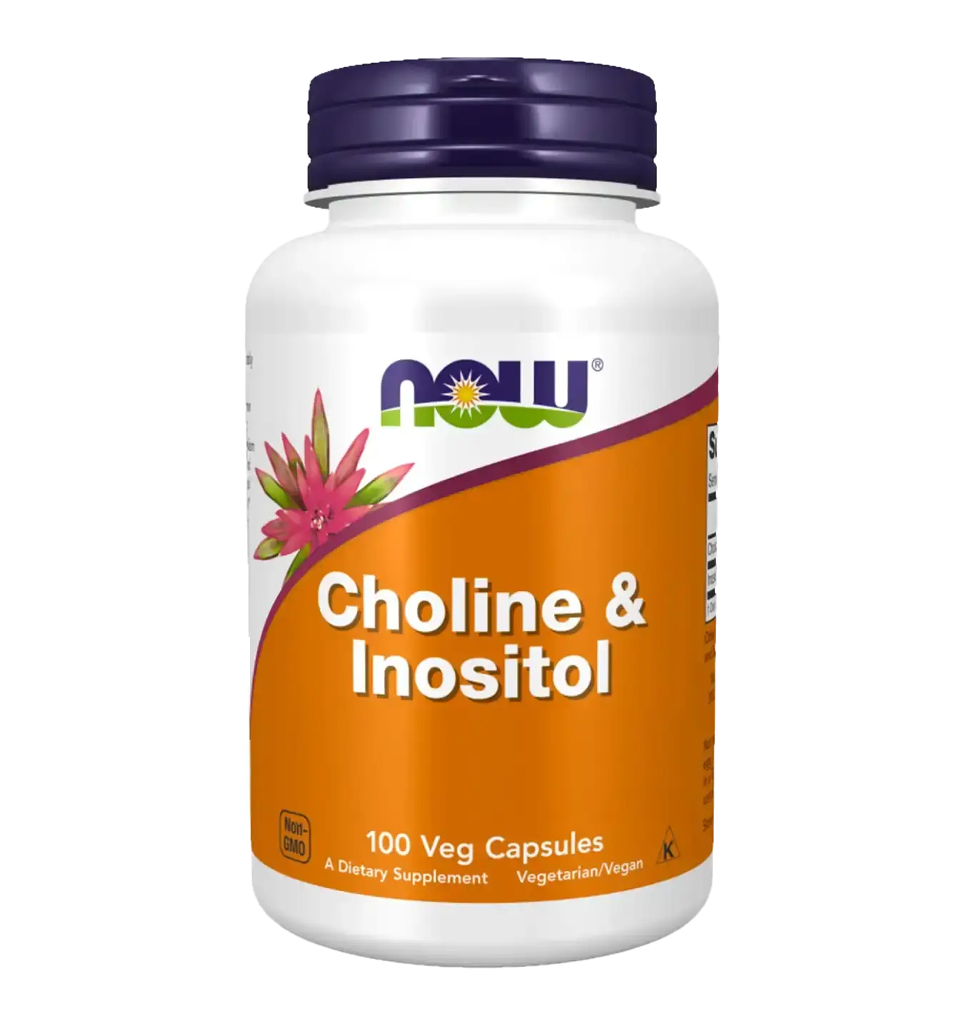 Choline en Inositol 500mg