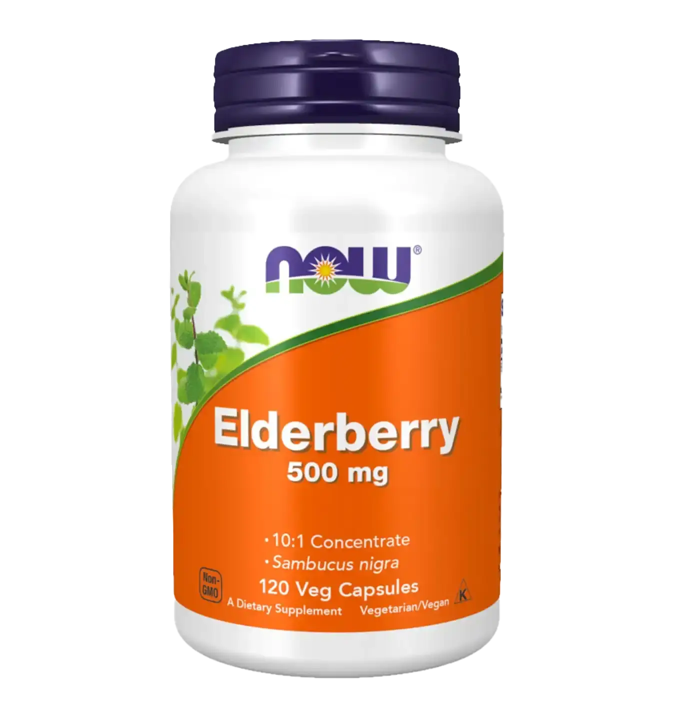 Elderberry 500mg