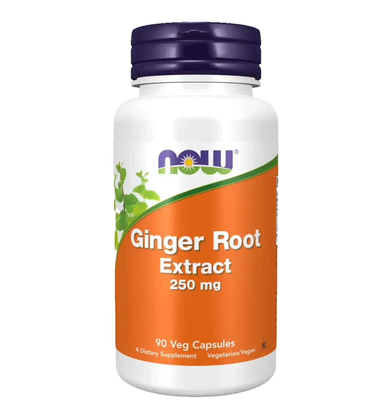 Ginger Root Extract