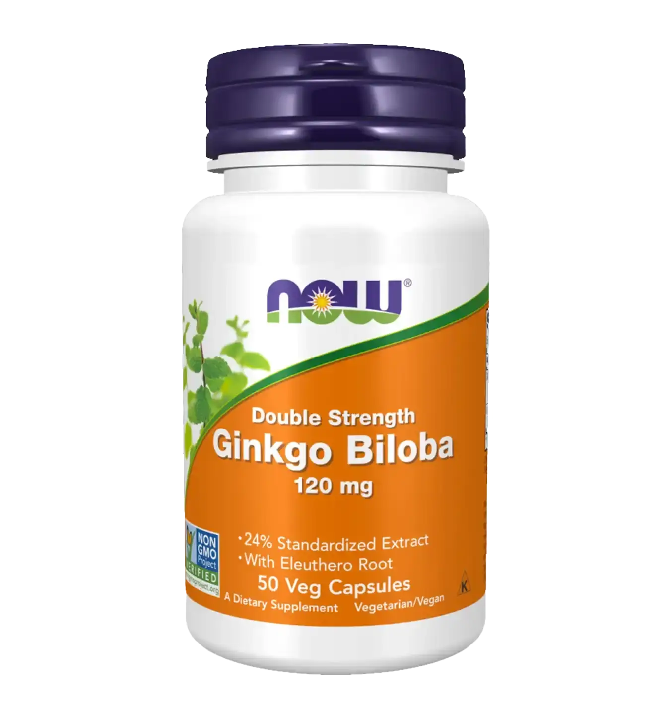 Ginkgo Biloba 120mg