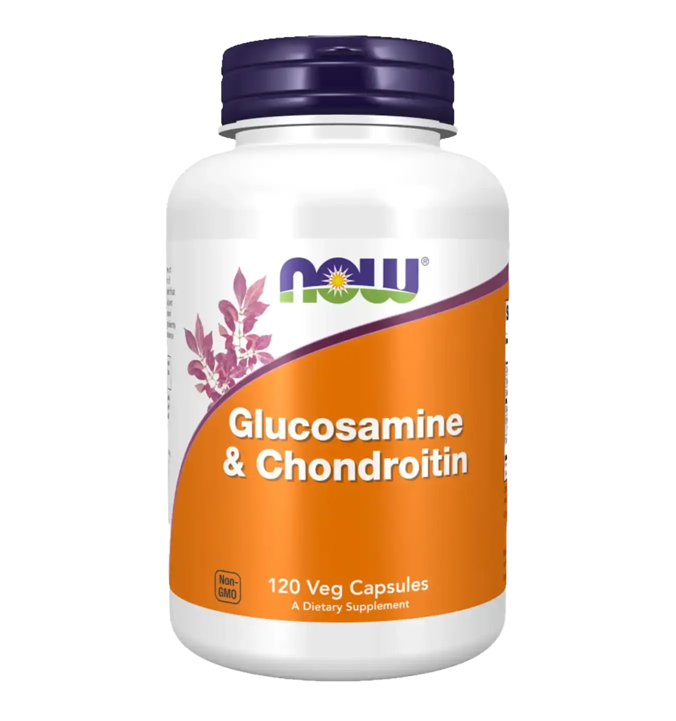 Glucosamine & Chondroitin