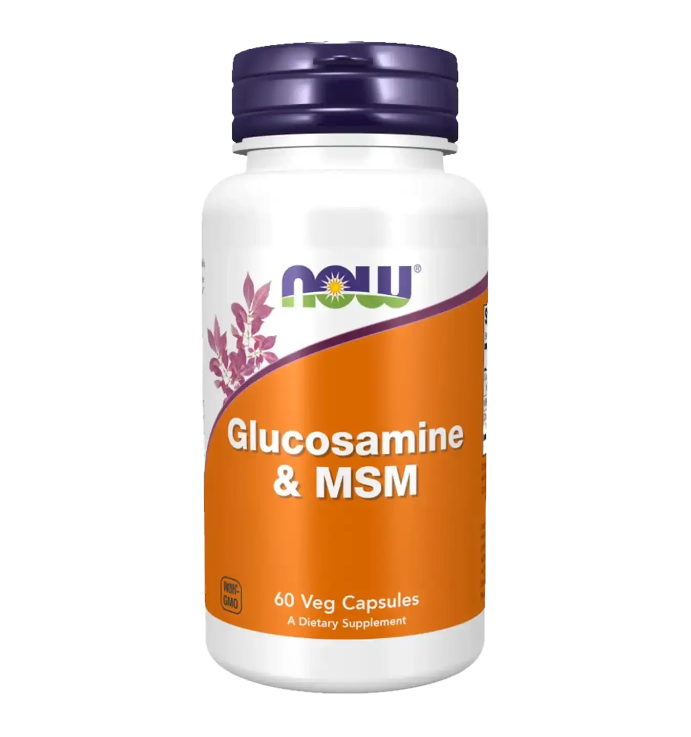 Glucosamine & MSM with Chondroitin