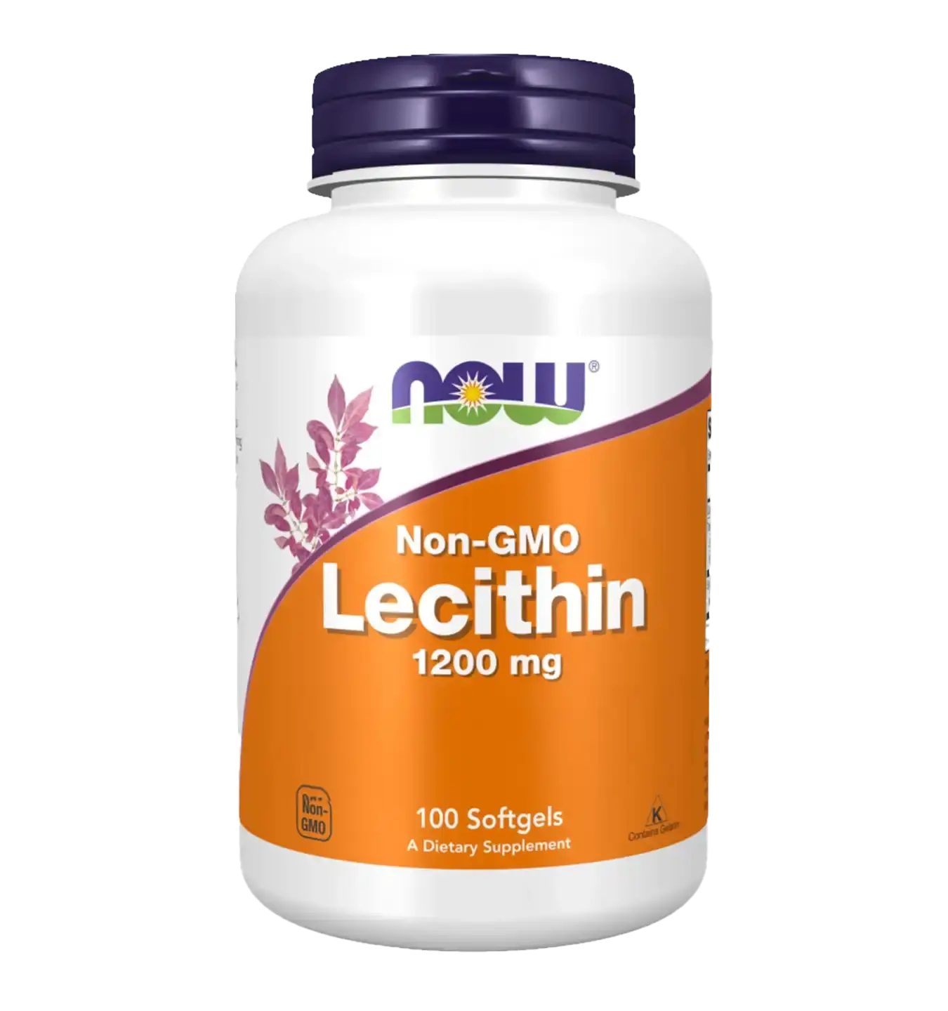 Lecithin 1200mg