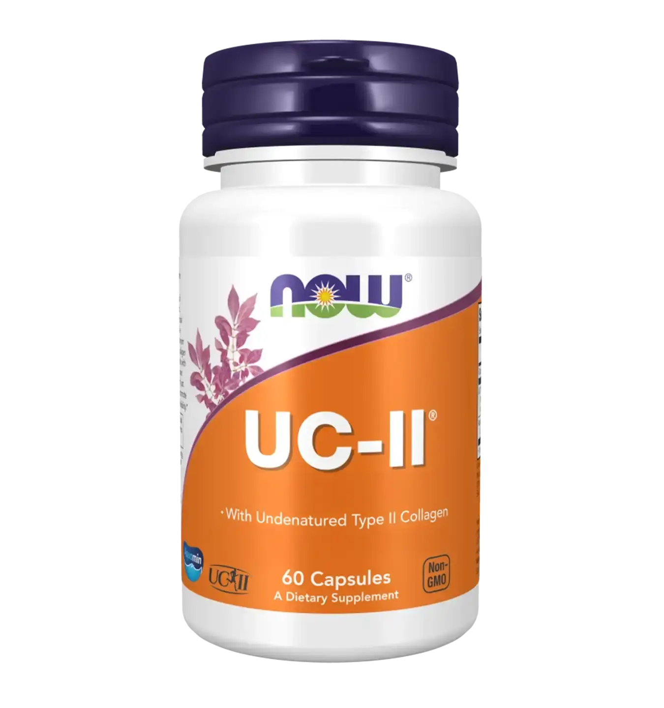 UC-II Type II Collagen 40mg