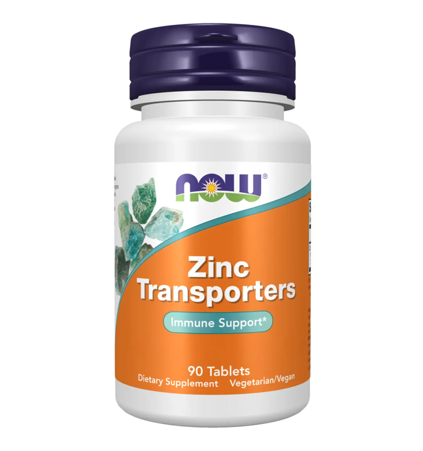 Zinc Transporters