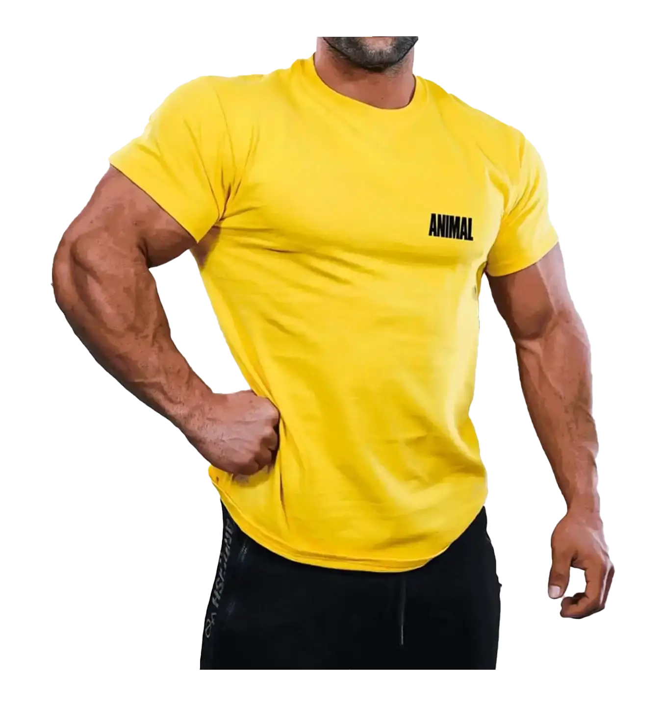 Animal Logo T-shirt