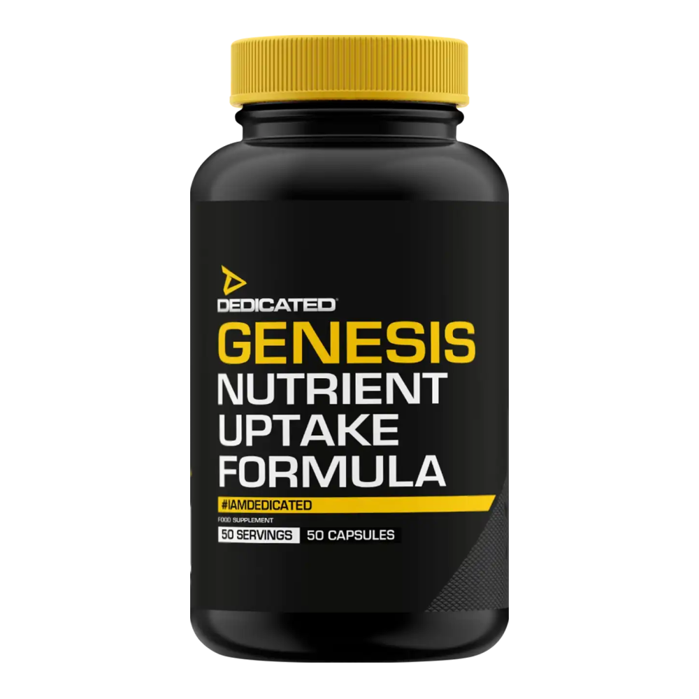 Genesis