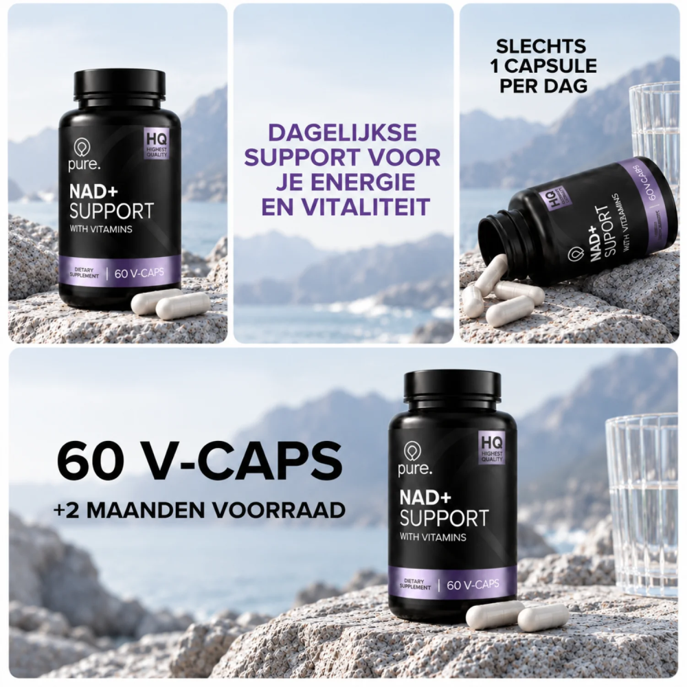 NAD+ Support