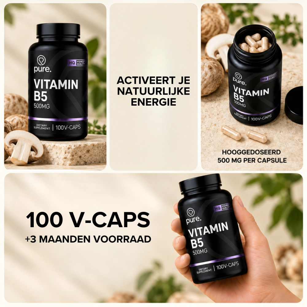 Vitamine B5 500mg