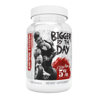 Bigger By The Day