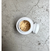 Panax Ginseng