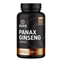 Panax Ginseng