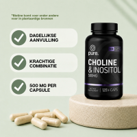 Choline & Inositol
