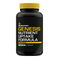 Genesis
