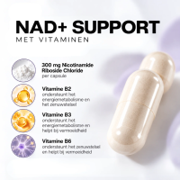 NAD+ Support