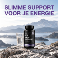 NAD+ Support
