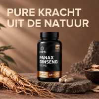 Panax Ginseng