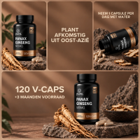 Panax Ginseng
