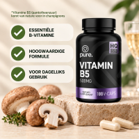 Vitamine B5 500mg