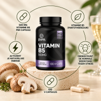 Vitamine B5 500mg
